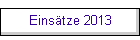 Eins�tze 2013